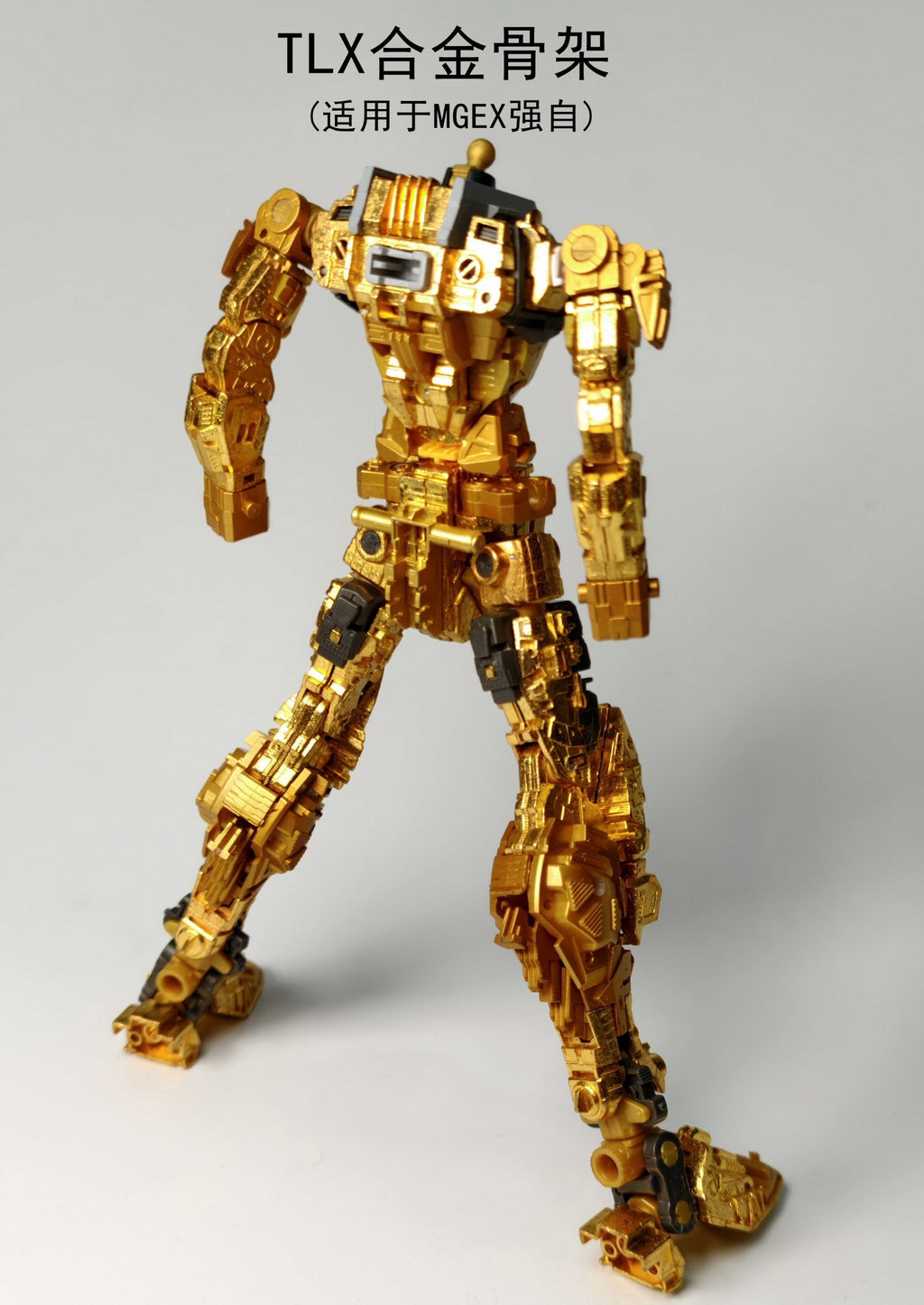 TLX EX01 (Gold Ver.) 1/100 Scale Alloy Model Kit Frame Upgrade (MGEX Strike Freedom)