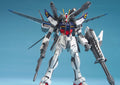 MG 1/100 Strike E+IWSP (Astrays Lukas O'Donnell Custom)