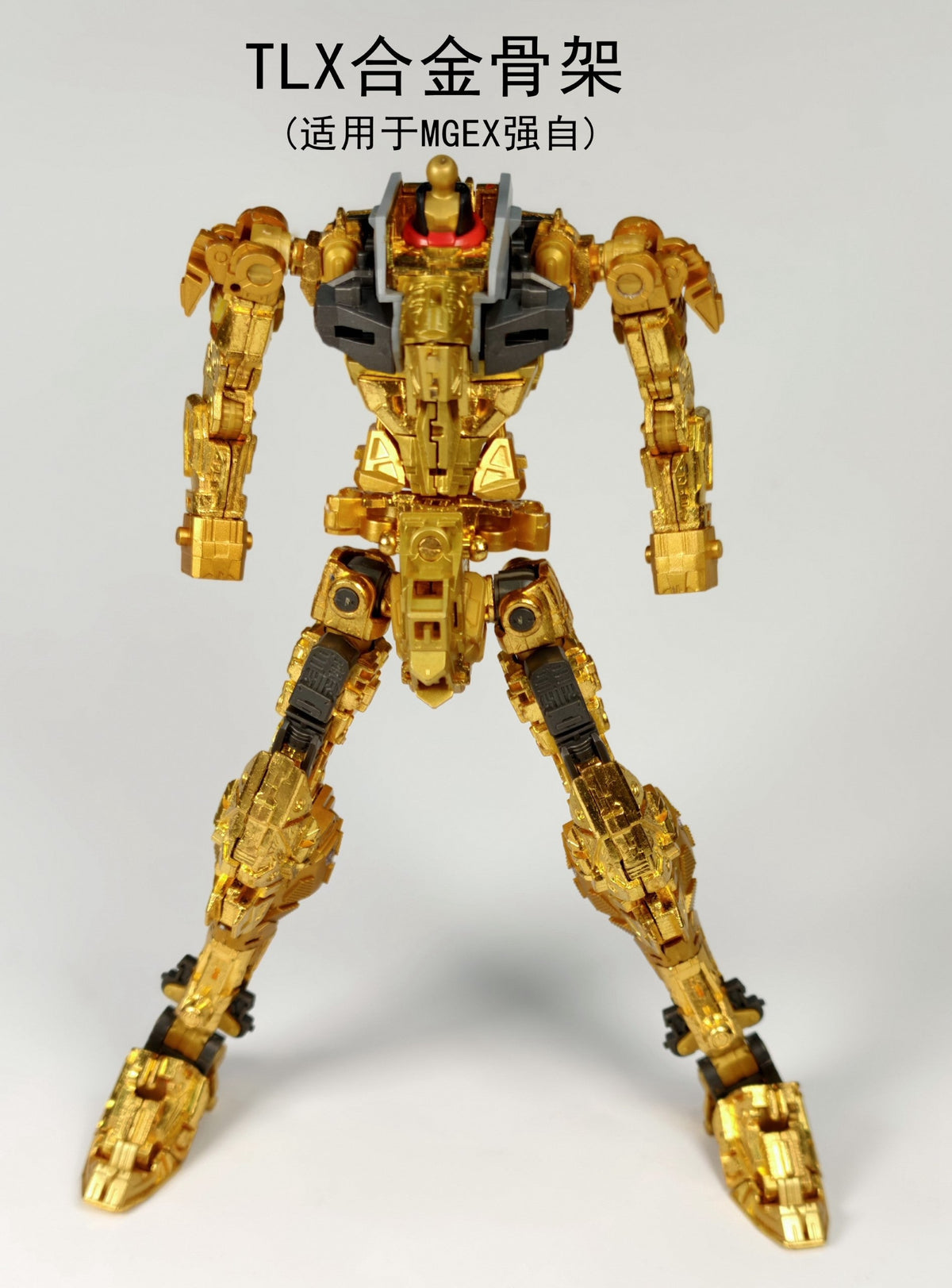 TLX EX01 (Gold Ver.) 1/100 Scale Alloy Model Kit Frame Upgrade (MGEX Strike Freedom)